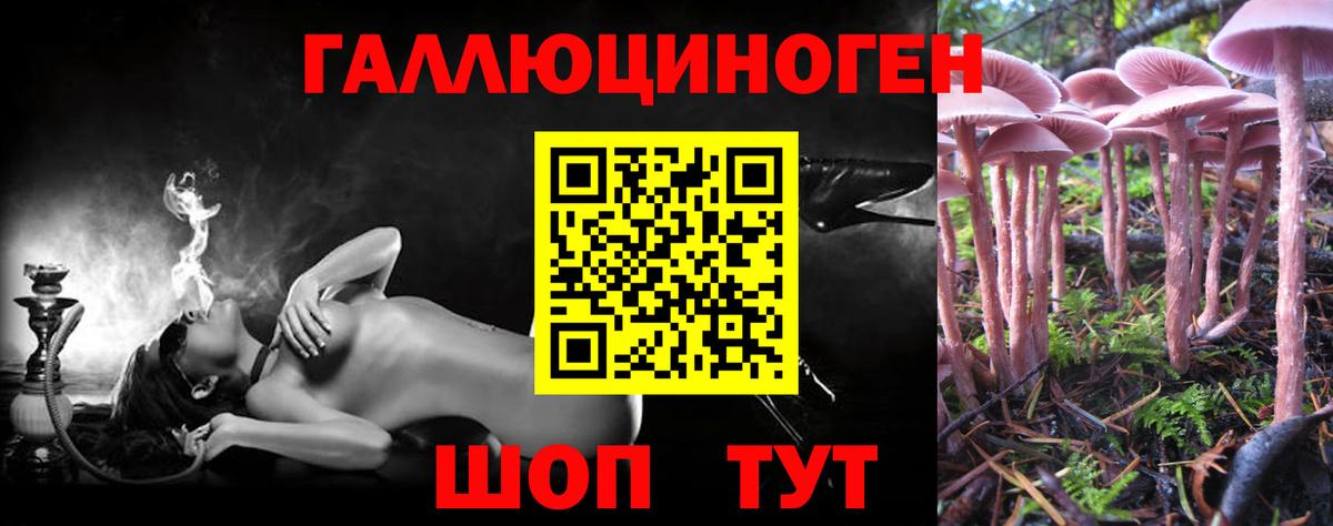 Псилоцибиновые грибы мицелий Воркута